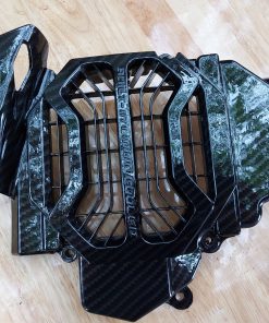 in chuyển nước, sơn nhúng vỏ nhựa xe Airblade vân carbon