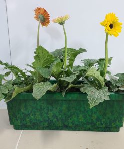 In chuyển nước, sơn nhúng Bình Hoa - Chậu Hoa  Liên hệ: 0973581102