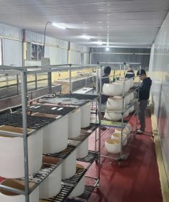 In chuyển nước, sơn nhúng chậu cây, bình hoa Liên hệ: 0973581102 - Mr Tâm